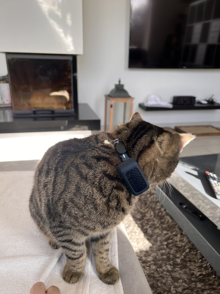 Beste GPS Tracker für Katzen 2026